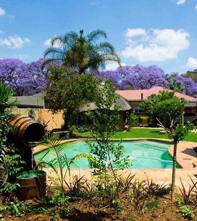 بيت شباب 1322 Backpackers International بريتوريا المظهر الخارجي الصورة