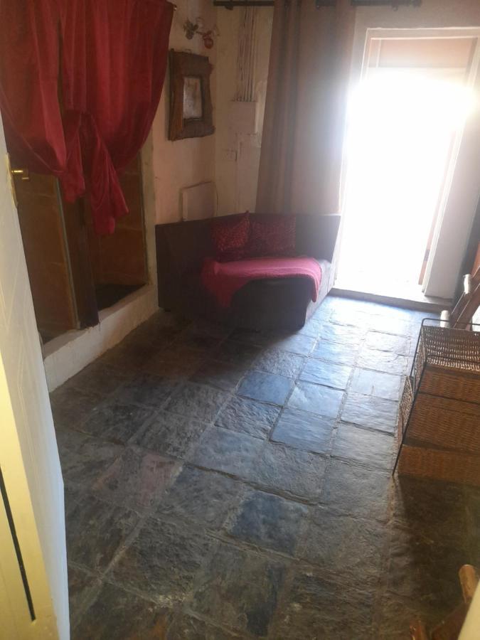 بيت شباب 1322 Backpackers International بريتوريا المظهر الخارجي الصورة