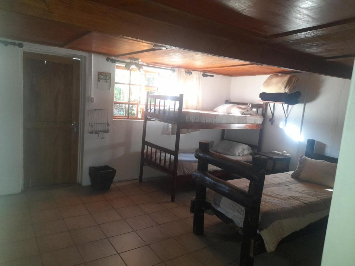 بيت شباب 1322 Backpackers International بريتوريا المظهر الخارجي الصورة