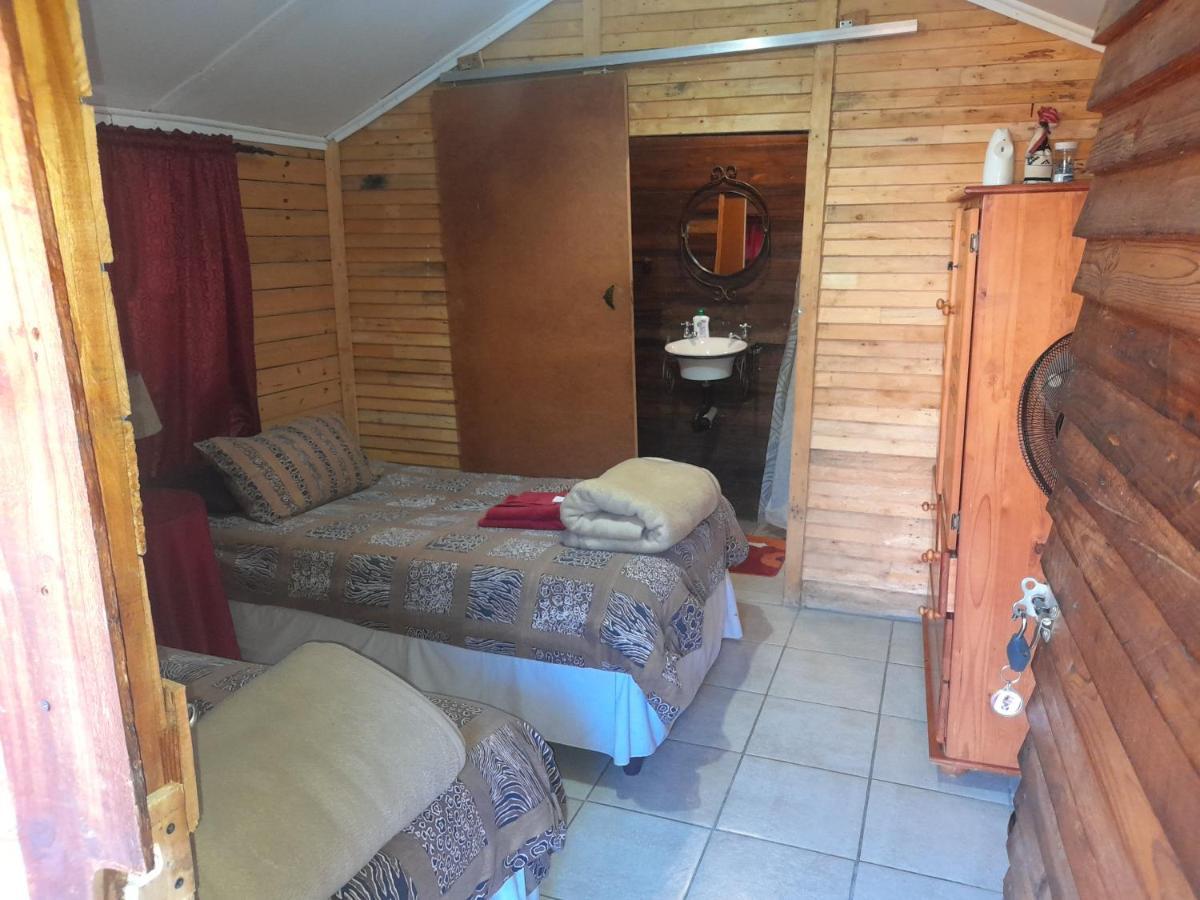 بيت شباب 1322 Backpackers International بريتوريا المظهر الخارجي الصورة