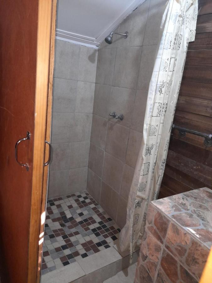 بيت شباب 1322 Backpackers International بريتوريا المظهر الخارجي الصورة