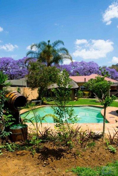 بيت شباب 1322 Backpackers International بريتوريا المظهر الخارجي الصورة