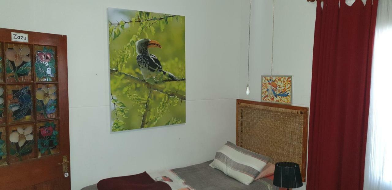 بيت شباب 1322 Backpackers International بريتوريا المظهر الخارجي الصورة